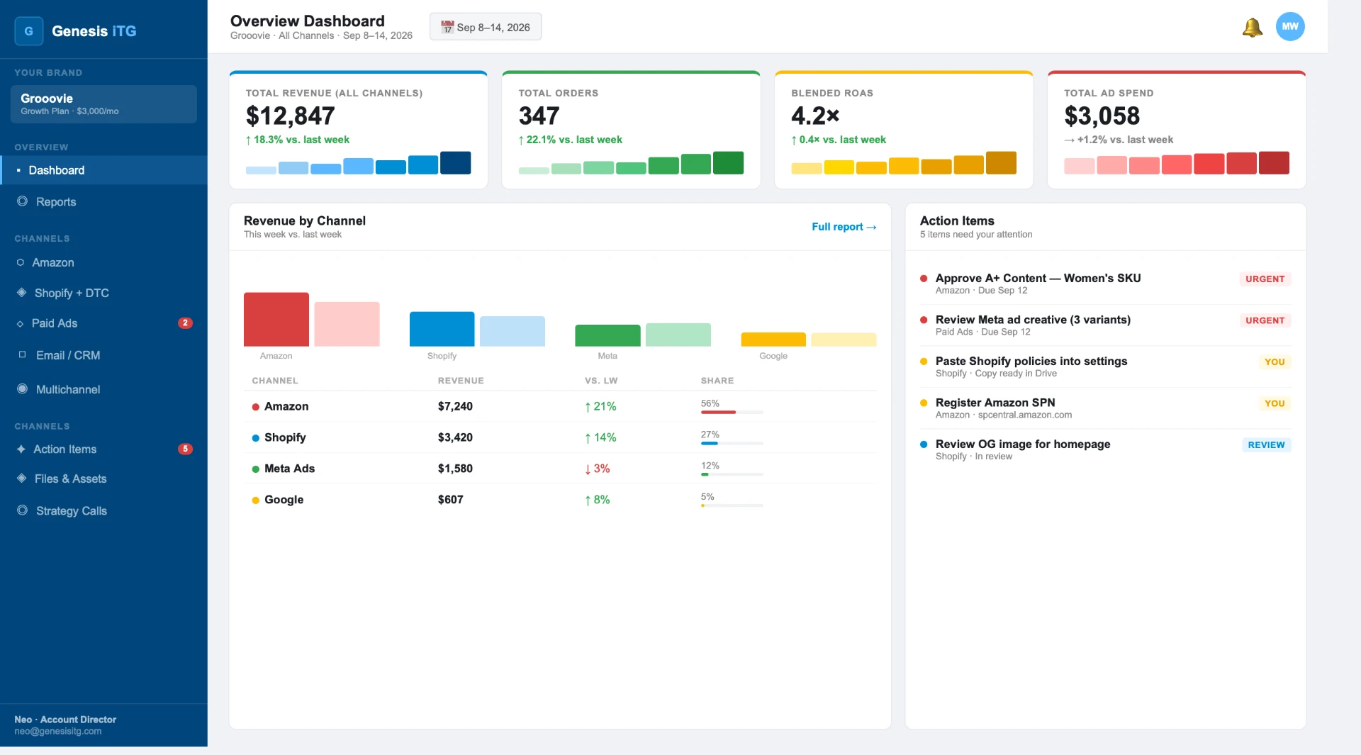 Genesis iTG overview dashboard showing total revenue, orders, ROAS, and ad spend across channels